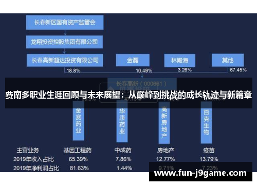 费南多职业生涯回顾与未来展望：从巅峰到挑战的成长轨迹与新篇章