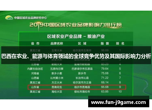 巴西在农业、能源与体育领域的全球竞争优势及其国际影响力分析