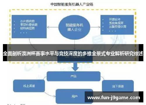 全面剖析澳洲杯赛事水平与竞技深度的多维全景式专业解析研究综述