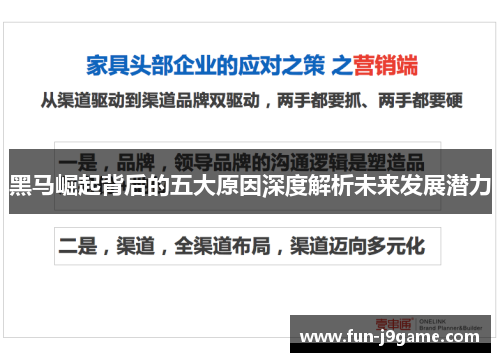 黑马崛起背后的五大原因深度解析未来发展潜力